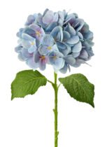 Hydrange E 7# for home decor wedding decor event decor