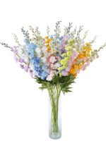 delphinium
