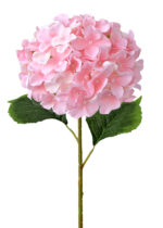pink silk flowers