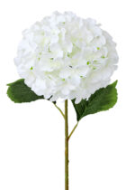 white silk flowers