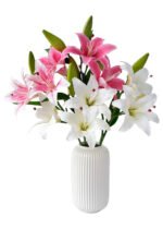 lily