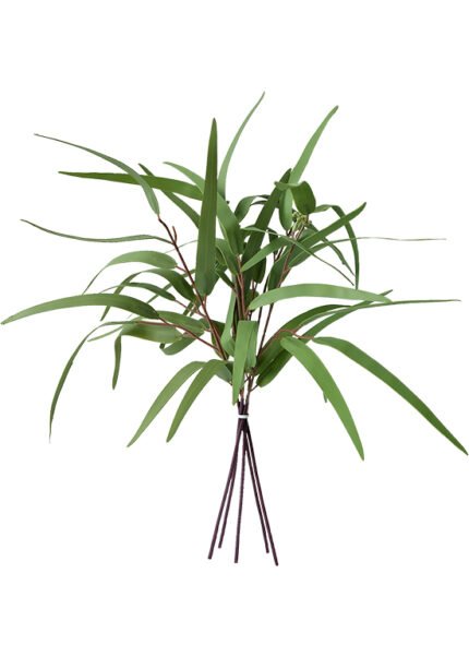Weeping Willow