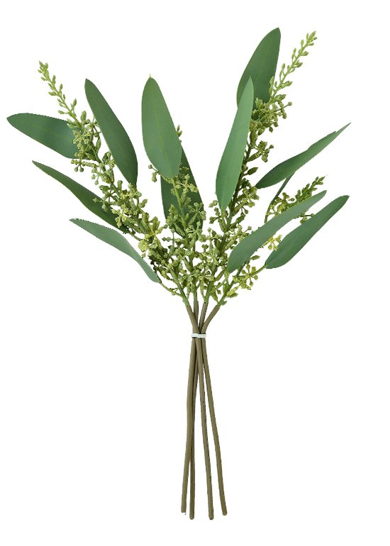 桉树叶-1 Eucalyptus