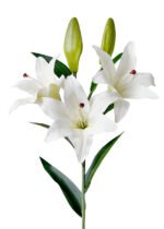 white artificial flowers latex lily