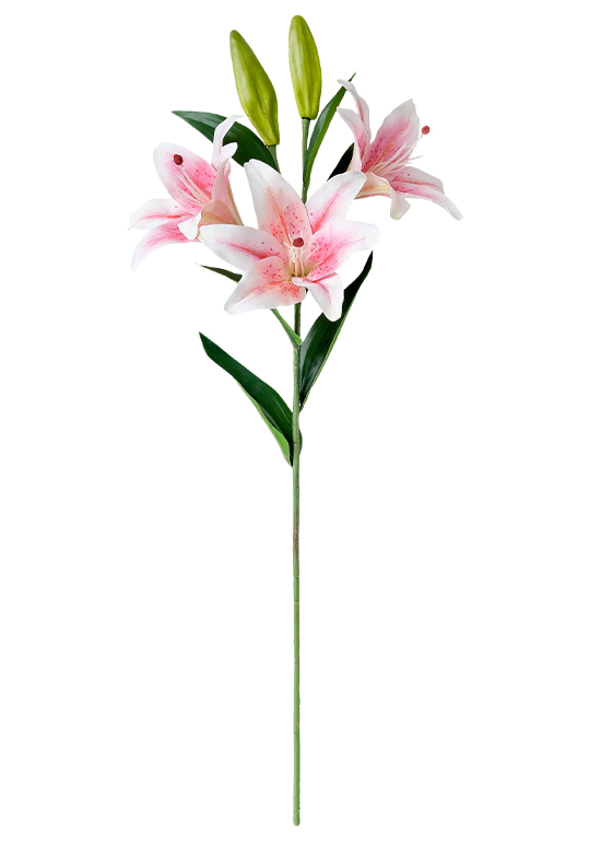 软胶百合全-2 pink lily