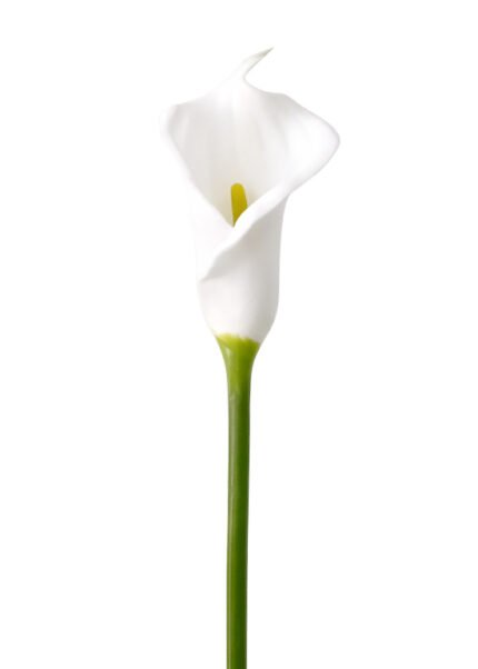 artificial flowers real touch flowers PU flowers faux calla lily