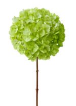 product green silk hydrangea