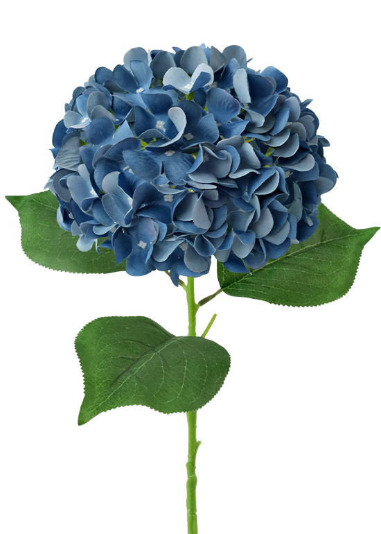 磨毛绣球 S3 silk hydrangea