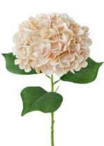 silk hydrangea